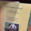 넌 우리의 영원한 용인푸씨야 이미지