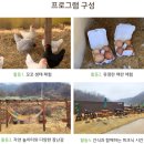 천안 아이와 가볼만한 곳 프루떼 팜크닉 내돈내산 아빠사랑팜 꼬꼬닭체험