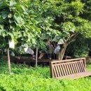 남촌동입구 이미지