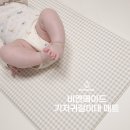 비엔메이드 디어 PVC 기저귀 매트 코지체크 후기