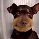 서울동서남북치과의원 이미지