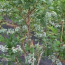 선유농장 이미지