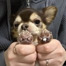 메디존 네이버블로그