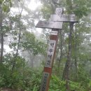 창명농장 | 백두대간 30차 (2부) : 마지막에 급류를 건너야 할 줄은 꿈에도 몰랐다 (육십령 ~ 구시봉 ~ 민령...