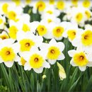 톤즈의원 동탄점 이미지