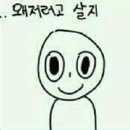 엔프피 이미지