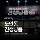 견생냥품24시무인펫샵대전 네이버블로그