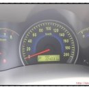 진아카센타 이미지