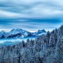 정한의원 이미지