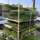 포천농약사 이미지