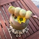 한옥1987 이미지