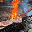 로그 하우스 이미지