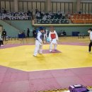 용인대 성원 태권도 이미지