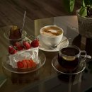 향-녹음의 계절 | 광주 서구 늦게까지 하는 심야 카페 | 쌍촌동 녹음 느좋 신상 카페 내돈내산