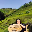 진미용소 - 상주시 | [보성,담양여행] 3주년 기념여행 in 푸릇푸릇 보성&담양 - 1