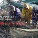 천연식품