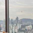 나이스 팰리스 | 강남 조선팰리스 3인 호캉스 내돈내산 후기(그랜드마스터룸,그랜드리셉션)