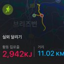 초심미트 | 블크크 가리기 red red