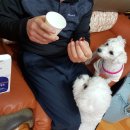 아임메디 이미지