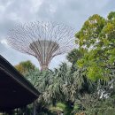 영어 회화-심화(야간) 이미지