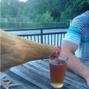 치맥특별시 이미지