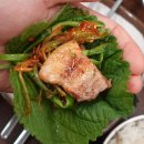 법원길 삼거리 앞 | 대전 시청역 맛집 새로 오픈한 문가회관 생삼겹살 고깃집 후기