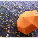 가을비 우산속 노래 악보 최현 이미지