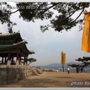 수원-0989 Daum카페