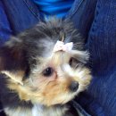 이수병원 이미지