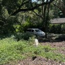 규환농장 이미지