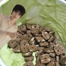 녹차마루 이미지