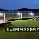 서구-02-83 | 인천 애견카페 강아지 동반 멍스퀘어 애견운동장 김포점 넓고 쾌적한 애견운동장