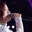 베베미뇽 이미지