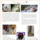 독스캣 강아지고양이 수원점 이미지