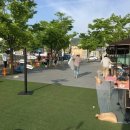 <로터스 랜드(Lotus Land)> 이미지