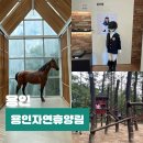 용인목재문화체험장 오감의숲 놀이터 | 용인 가볼만한곳 용인자연휴양림 용인시민 산책 주차 당일치기 카라반 용인목재문화체험관 데이트