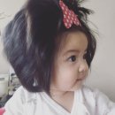 더벅머리 Daum카페