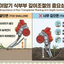 일년농사 | 2026년 벼농사 5월모내기 이앙기 식부깊이조절 뜬모심기