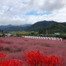 향단농장 이미지