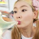 고양낙농체험장 이미지