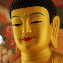 대원중학교 이미지