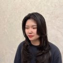 프렌디헤어