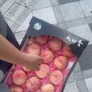 달쥬마켓