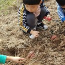 강정보여울협동조합 이미지
