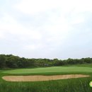 블랙스톤제주CC(대중형 18홀) 이미지