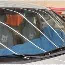 김천세차광택 | 김천손세차 김천 최고의 자동차 디테일링 경험담