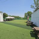 썸바디 독스 이미지