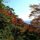 제165차-토요산악회(천안/아산) 11월3일(토) 토요주말산행 : 천안 서운산(547m) 단풍산행 이미지