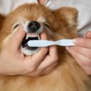 윤슬동물병원 이미지