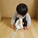 (주)아가방앤컴퍼니넥스트맘대구진천점 | 아기애착인형, 아가방 니키 동키동키 걸음마 인형제목없음